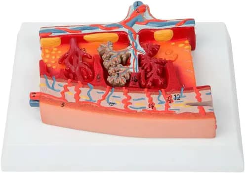 Yashwant Paramedical College, Nanded